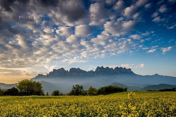 Apartament Roca Foradada Monistrol de Montserrat Εξωτερικό φωτογραφία